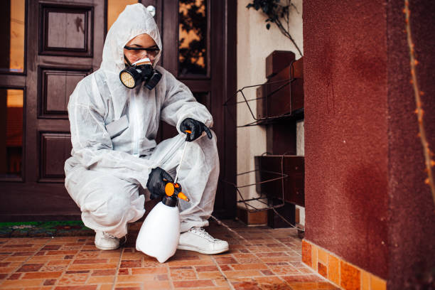 Reliable Ant Control contractor in Forest Heights, MD by Show Me Pest Control