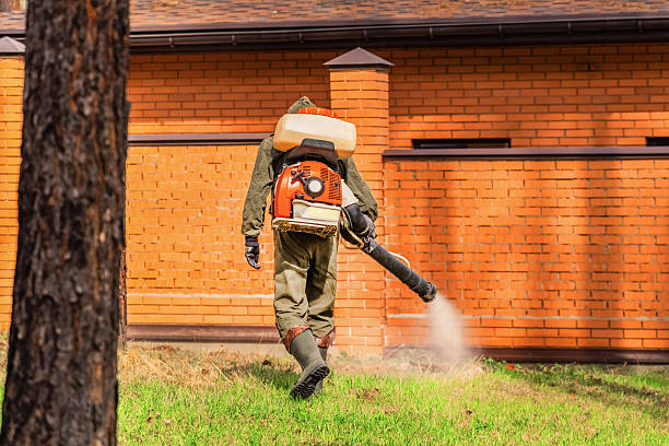 Top rated local Ant Control specialists in Forest Heights, MD